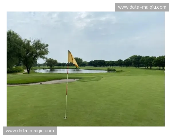 高尔夫排名：看见球场背后的力量与未来之星